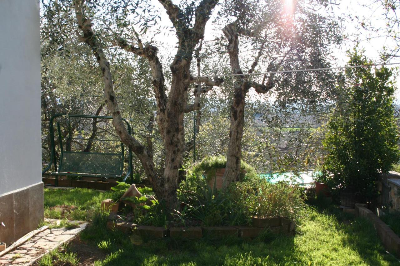 La Taverna di Sophie Serre Di Rapolano Esterno foto